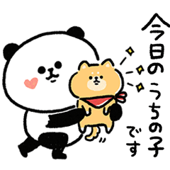 [LINEスタンプ] 柴犬さんが好き！飼い主さんの親バカな毎日