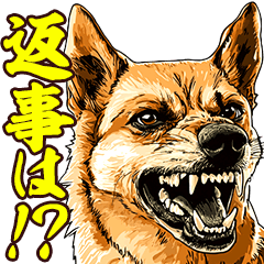 [LINEスタンプ] 細かい事にガチギレ犬