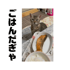 [LINEスタンプ] エジプシャンマウのにぼしだぎゃ