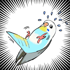 [LINEスタンプ] カラフルなセキセイインコの毎日スタンプ