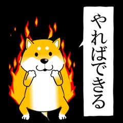 [LINEスタンプ] 新・激しく尻尾をふる柴犬【毎日使える】