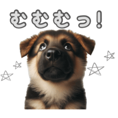 [LINEスタンプ] よく使う！モノクロ文字♡シェパード