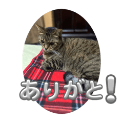 [LINEスタンプ] げんくんです