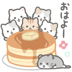 [LINEスタンプ] とにかく猫だらけ