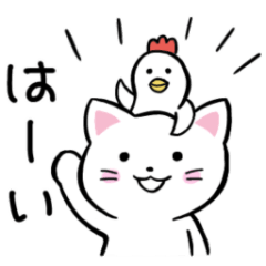 [LINEスタンプ] ネコっこデイズ1