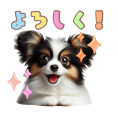 [LINEスタンプ] パピヨンの子犬スタンプ