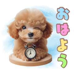 [LINEスタンプ] 日常会話のトイプードルの子犬スタンプ！