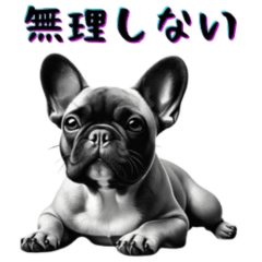 [LINEスタンプ] 【悟り世代】パグ犬の悟り言葉