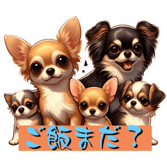 [LINEスタンプ] 小型犬語です