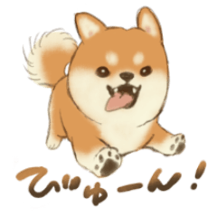 [LINEスタンプ] 使いやすい柴犬ほんわかスタンプ