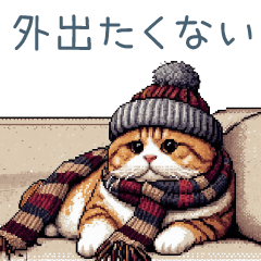 [LINEスタンプ] 毎日使える冬の猫たち【かわいい・連絡】