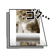 [LINEスタンプ] めーど