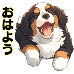 [LINEスタンプ] ごきげんバーニーズと友達の柴犬の会話