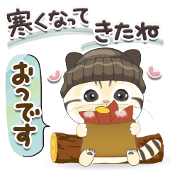 [LINEスタンプ] ねこちぃず♡秋冬スタンプ