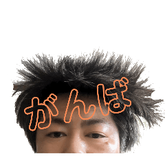 [LINEスタンプ] ねぐせ