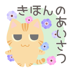 [LINEスタンプ] マズルー二ャの基本のあいさつ