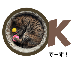 [LINEスタンプ] 猫みーみ