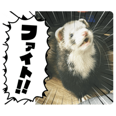 [LINEスタンプ] どーもじろっす。