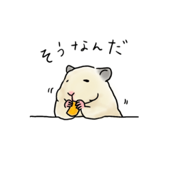 [LINEスタンプ] キンクマハムスターの金太朗