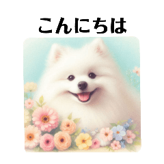 [LINEスタンプ] かわいいスピッツ犬の日常スタンプ3