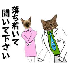 [LINEスタンプ] お酒とネコ好きな日常会話20