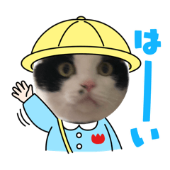 [LINEスタンプ] はっぴーにゃんず