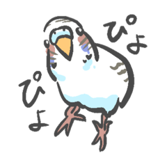 [LINEスタンプ] セキセイインコのぶぶ