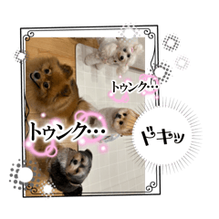 [LINEスタンプ] おこげりんと愉快な仲間たち