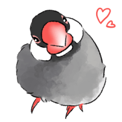 [LINEスタンプ] うちの文鳥はこんな感じ
