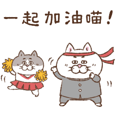 [LINEスタンプ] 目付きの悪い猫【ねこ語2】台湾版