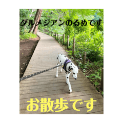 [LINEスタンプ] お散歩るめですの画像（メイン）