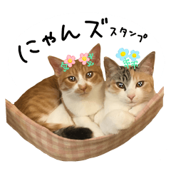 [LINEスタンプ] にゃんズとお花のスタンプ