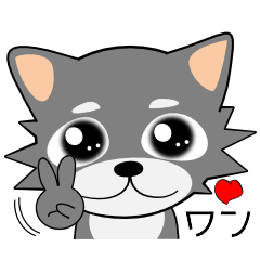 [LINEスタンプ] こんにチワワ★家族通信