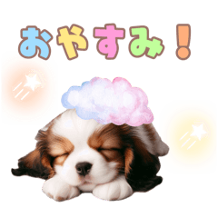 [LINEスタンプ] コイケルの子犬スタンプ