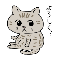 [LINEスタンプ] ネコと暮らす15 気軽に使えるスタンプ