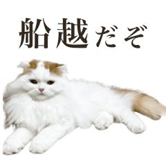 [LINEスタンプ] 船越もこた【船越ver】