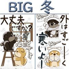 [LINEスタンプ] 【Big】柴犬さん 『冬・思いやり』