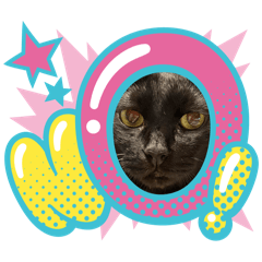[LINEスタンプ] 黒猫魂