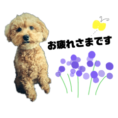 [LINEスタンプ] 愛犬ももたろう002
