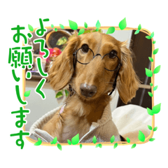 [LINEスタンプ] nameはレオ