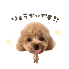 [LINEスタンプ] ぴぴちゃん♡deformation