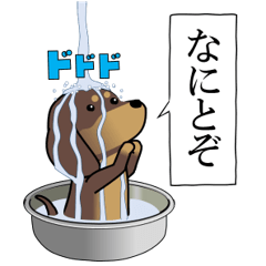 [LINEスタンプ] 新・激しく尻尾をふるイヌ【毎日使える②】