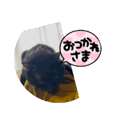 [LINEスタンプ] てんしの百合かごニャンズのスタンプ