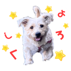 [LINEスタンプ] わんわんりのんスタンプ2