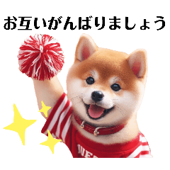 [LINEスタンプ] かわいい柴犬の犬スタンプ