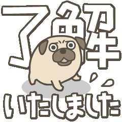 [LINEスタンプ] 動く！パグの毎日デカ文字スタンプ