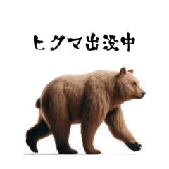 [LINEスタンプ] リアルなヒグマ【出没編】