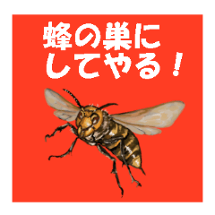 [LINEスタンプ] まいにち蟲毒