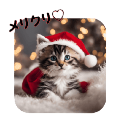 [LINEスタンプ] 子猫スタンプ～クリスマスバージョン～