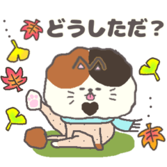 [LINEスタンプ] サマーカットにゃんこ三毛 静岡弁 秋